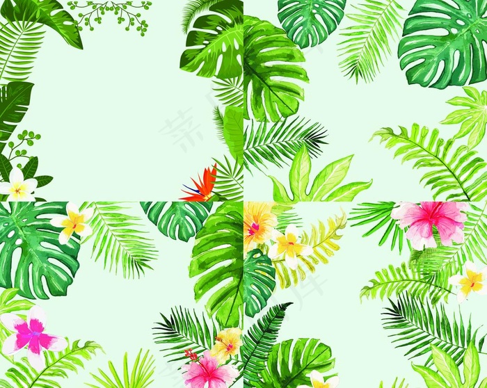 彩色植物花卉图片