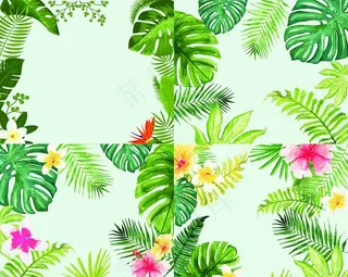 彩色植物花卉图片