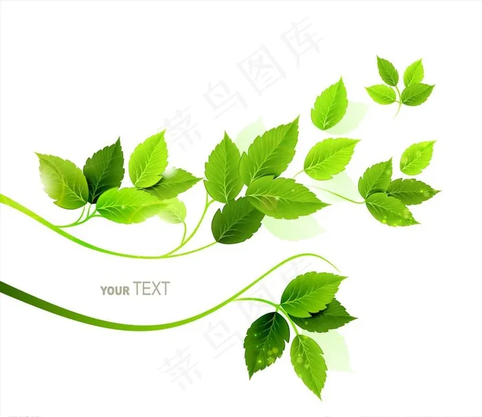 树枝树叶图片