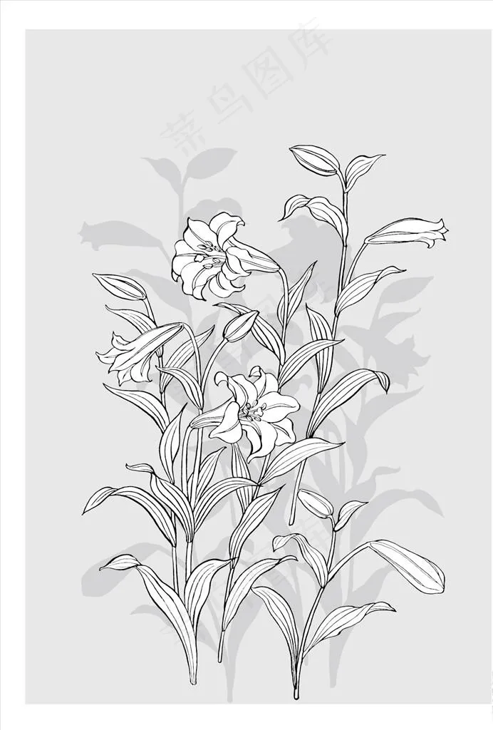 线描花朵图片ai矢量模版下载