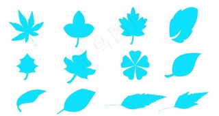 叶子素材图片