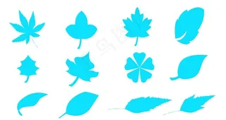 叶子素材图片