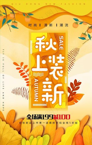 秋装上新图片