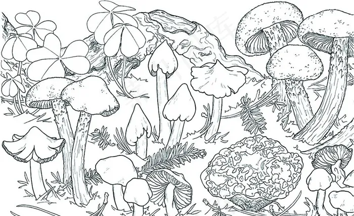 蘑菇线条画图片ai矢量模版下载
