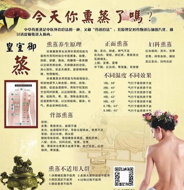 皇家御薰御蒸养生海报图片(841X594)cdr矢量模版下载