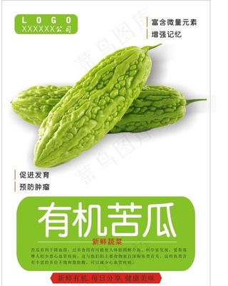 苦瓜海报图片
