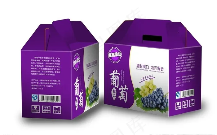 水果包装图片cdr矢量模版下载