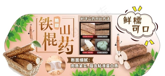 山药图片cdr矢量模版下载