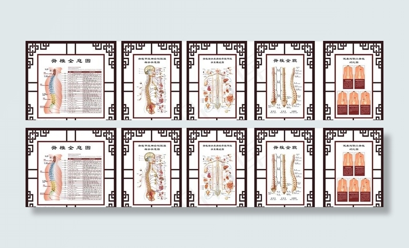 脊柱海报背景图片cdr矢量模版下载