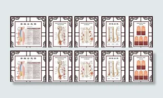 脊柱海报背景图片