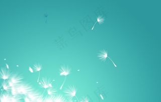 唯美蒲公英PSD背景图片