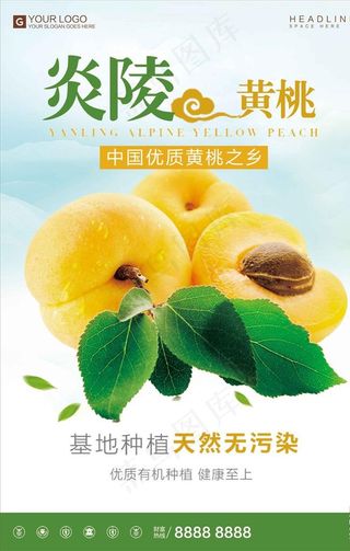 炎陵黄桃海报设计图片