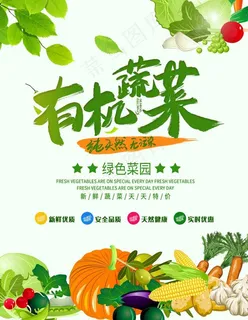有机蔬菜图片