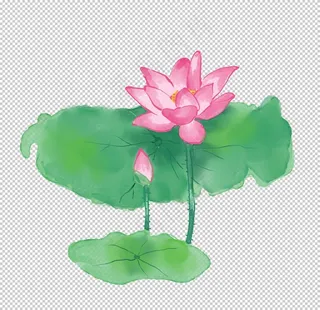 荷花元素图片