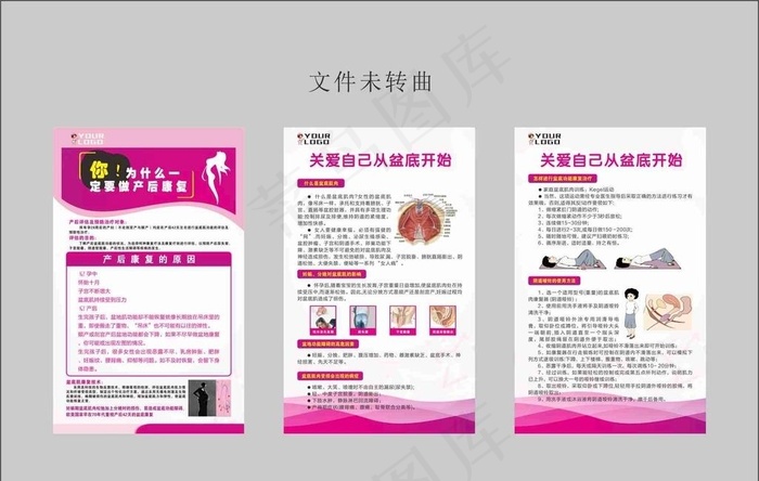 盆底康复妇科宣传海报图片cdr矢量模版下载