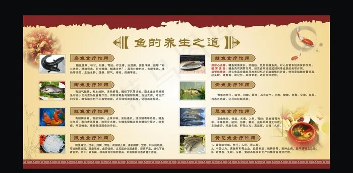 鱼 鱼的养生之道展板图片cdr矢量模版下载
