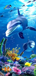 儿童玄关屏风海洋海豚鱼背景底纹图片