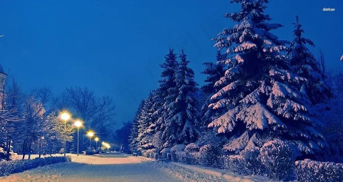 风景 雪景图片