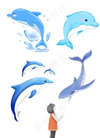 卡通海豚图片