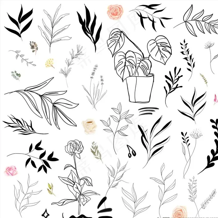 黑白线描花枝花叶剪影图片(9000X9000(DPI:300))psd模版下载