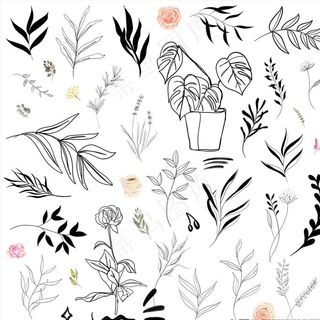 黑白线描花枝花叶剪影图片