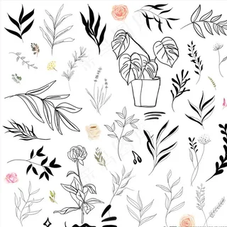 黑白线描花枝花叶剪影图片