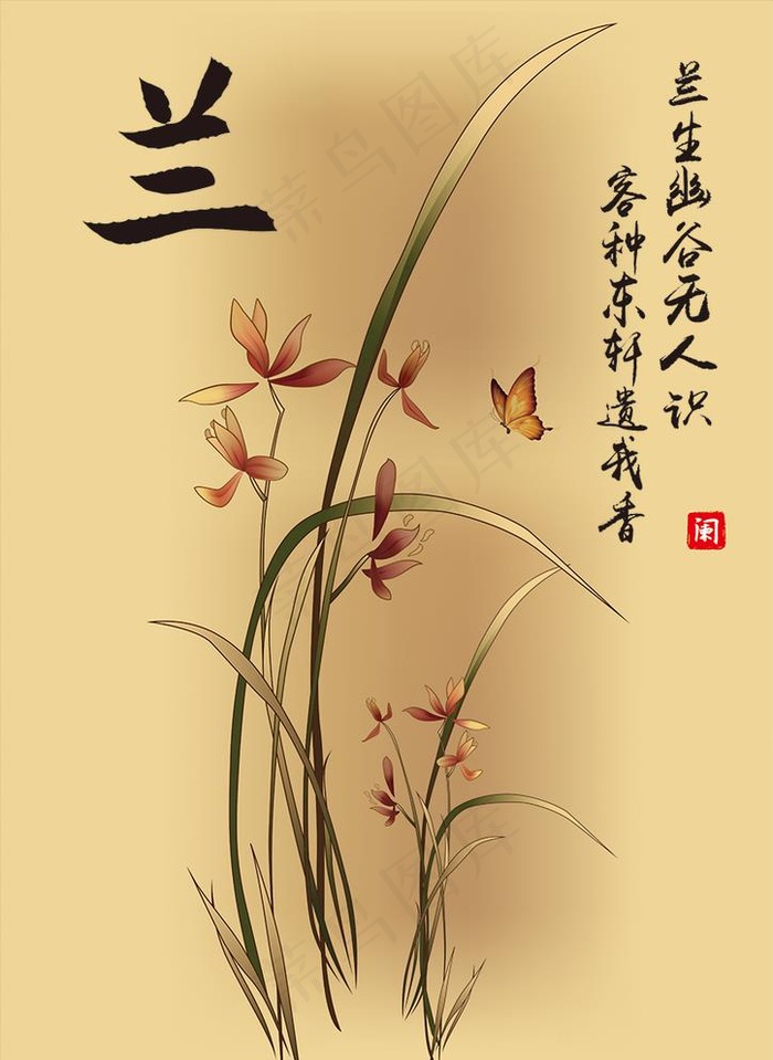 兰花图片
