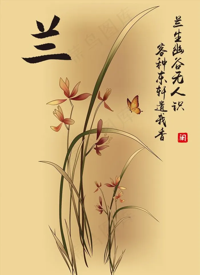 兰花图片