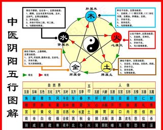 阴阳五行图图片