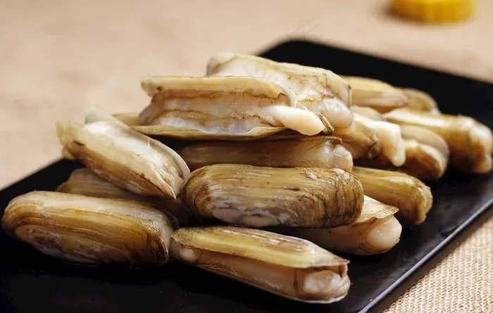 蛏子王图片