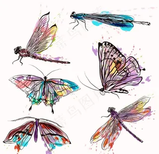 彩色的蝴蝶图片