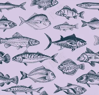 工笔画海鱼图片