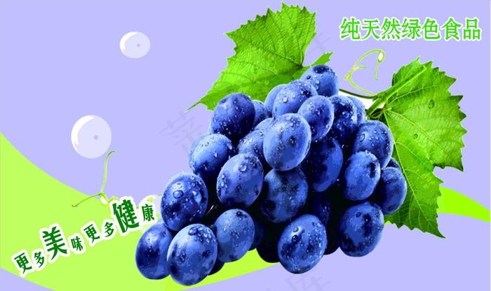 葡萄图片cdr矢量模版下载