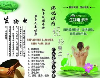 生物电经络养生图片