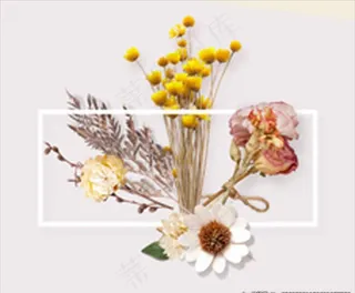 插花 干花 家居 菊花图片