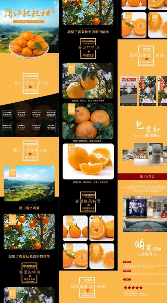 橘子详情页图片(750X9631(DPI:72))psd模版下载