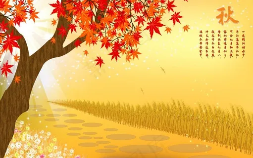 秋天枫叶图片 秋天枫叶图片