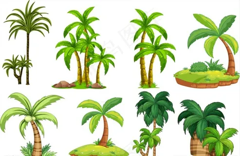 绿色椰子树设计矢量素材图片