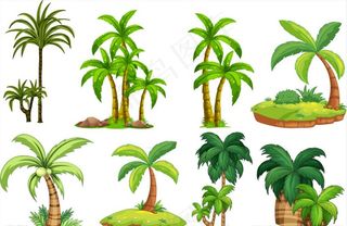 绿色椰子树设计矢量素材图片