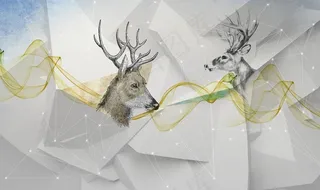 装饰画背景墙图片