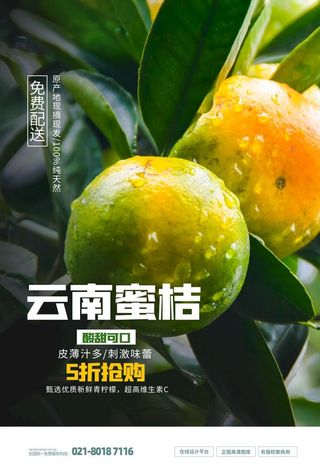 橘子海报图片