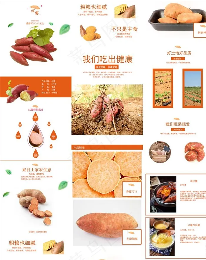 地瓜详情页图片psd模版下载