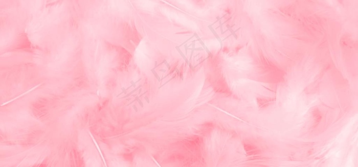 粉色羽毛背景图片
