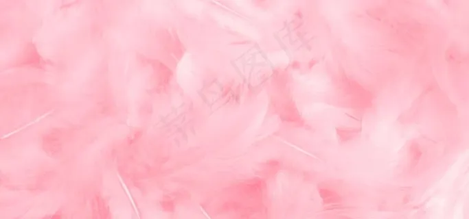 粉色羽毛背景图片 粉色羽毛背景图片