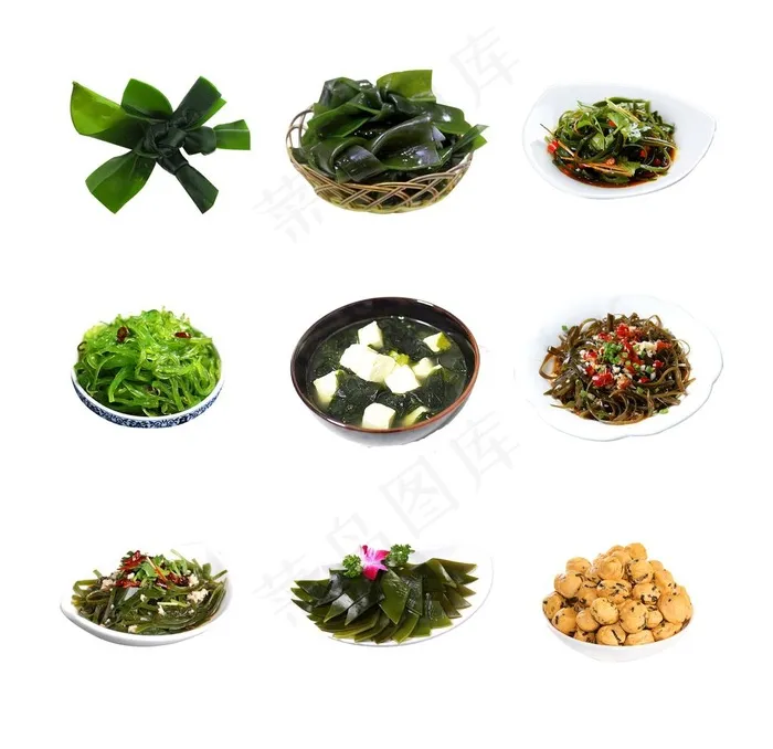 海带图片psd模版下载