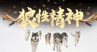 狼性精神图片