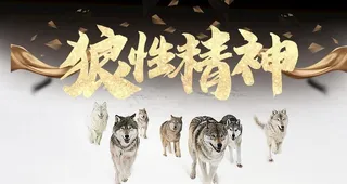 狼性精神图片