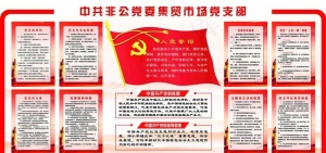 非公党委党支部党建版面图片