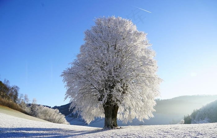 雪景图片