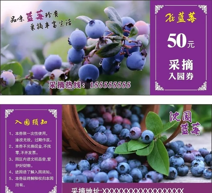蓝莓入园券图片cdr矢量模版下载
